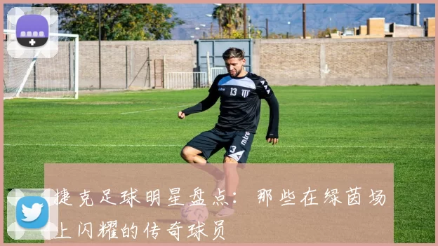 捷克足球明星盘点：那些在绿茵场上闪耀的传奇球员