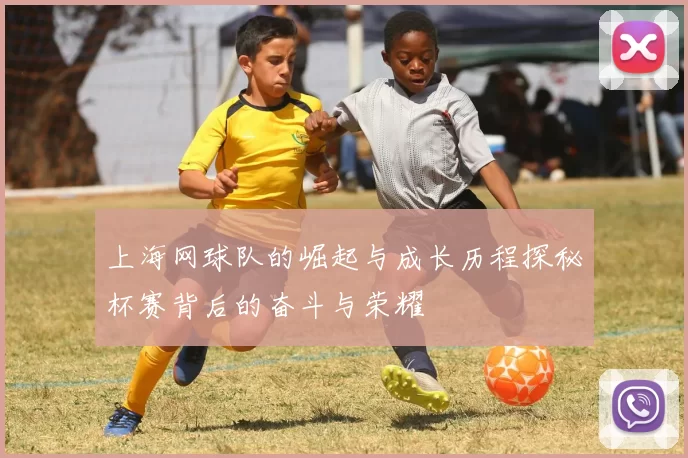 上海网球队的崛起与成长历程探秘杯赛背后的奋斗与荣耀