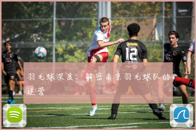 羽毛球深度：解密南京羽毛球队的运营