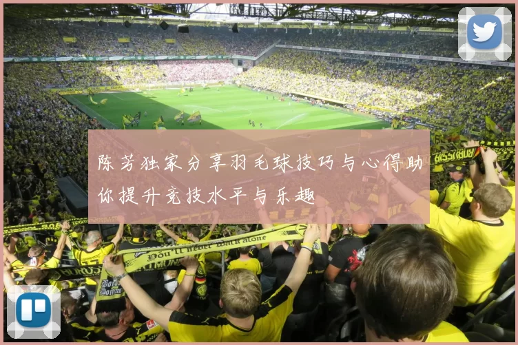 陈芳独家分享羽毛球技巧与心得助你提升竞技水平与乐趣