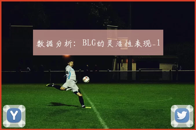 数据分析：BLG的灵活性表现_1