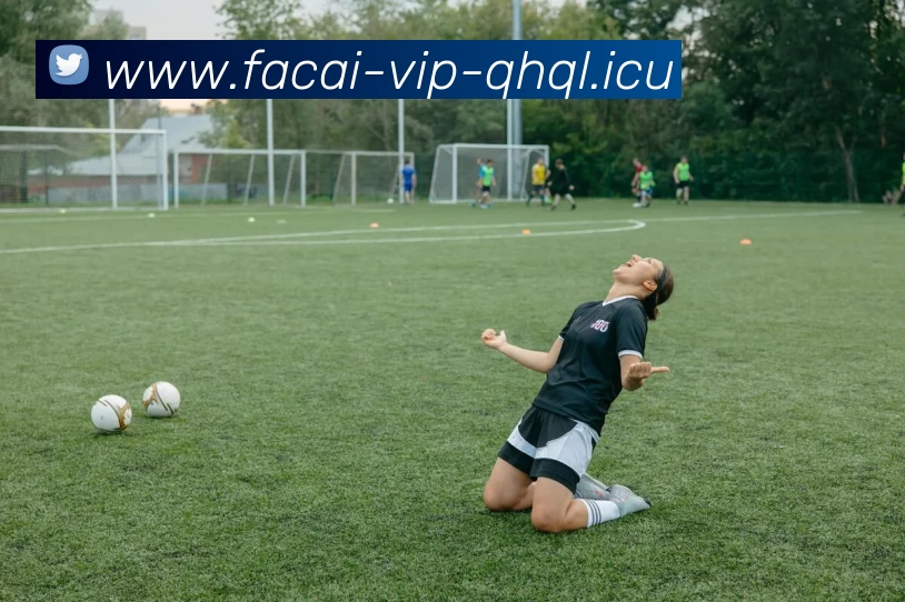 乐竞体育APP 封面图